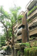 鄰近大安紳鄰社區推薦-宏國榕園，位於台北市大安區